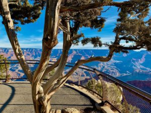 Where To Book Grand Canyon Tours
